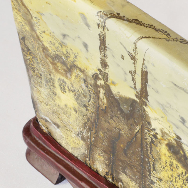 ピクチャーストーン】草花石No.372（観賞用鉱石）