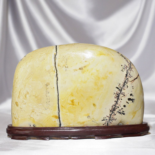 ピクチャーストーン】草花石No.373（観賞用鉱石）