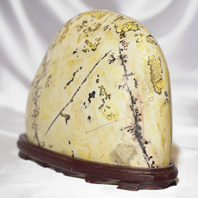 ピクチャーストーン】草花石No.373（観賞用鉱石）