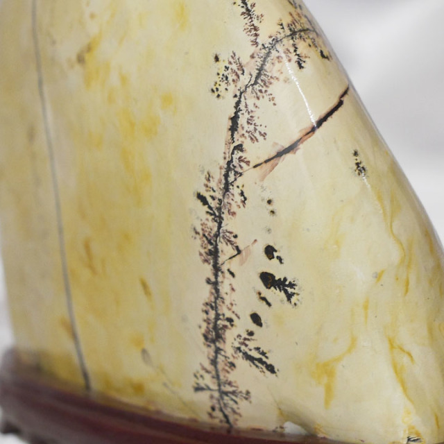 専用 草花石 ピクチャーストーン 鑑賞石 自然石 絵柄 原石 水石 化石