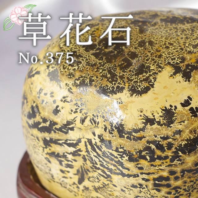 ピクチャーストーン】草花石No.375（観賞用鉱石）