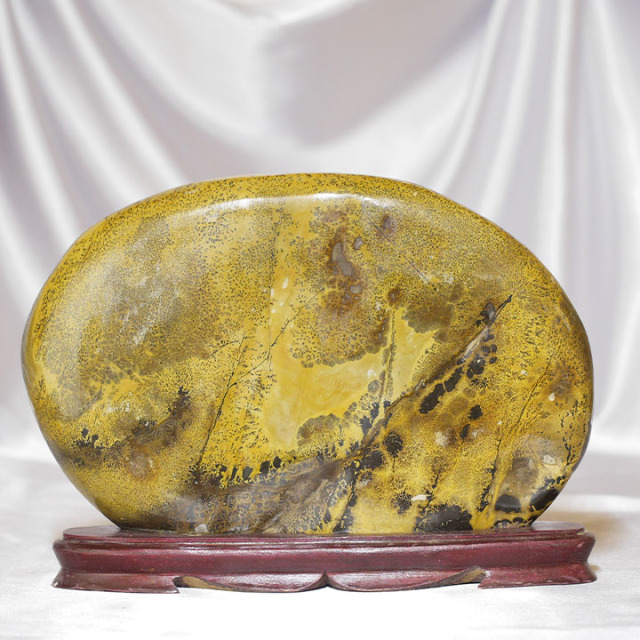 専用 草花石 ピクチャーストーン 鑑賞石 自然石 絵柄 原石 水石 化石 観賞石 ピクチャーストーン】草花石No.364（観賞用鉱石）