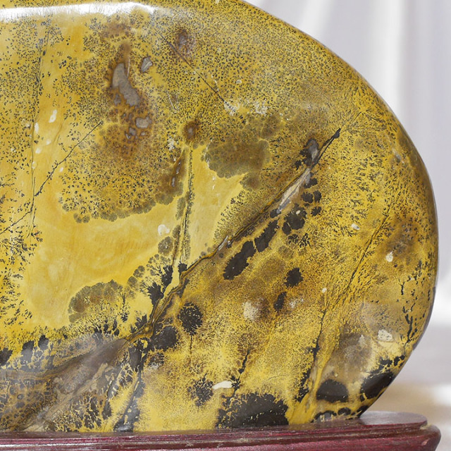 ピクチャーストーン】草花石No.377（観賞用鉱石）