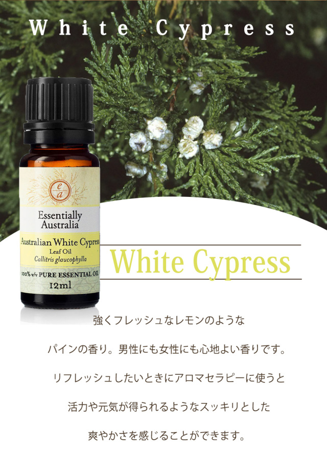 エッセンシャルオイル