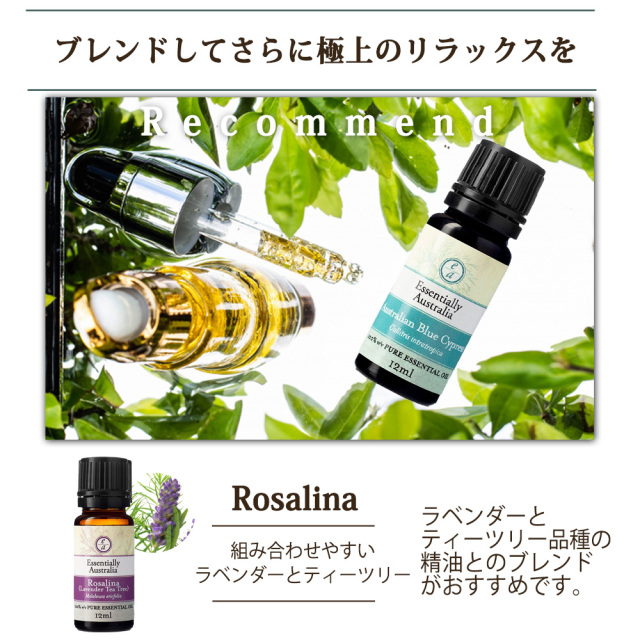 アロマオイル ブルーサイプレス 12ml エッセンシャルオイル 天然
