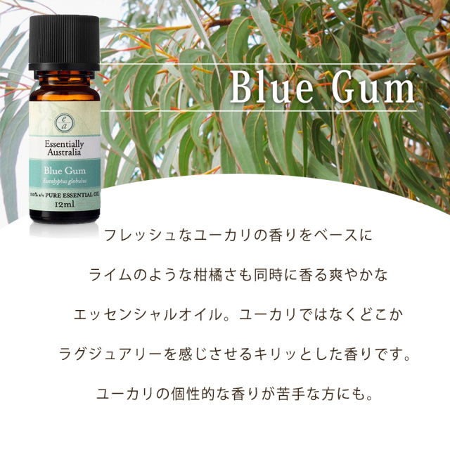 1ml テスター】ブルーガム エッセンシャルオイル 天然 精油 100
