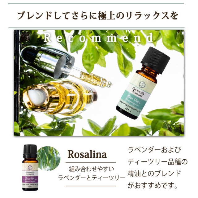 Blue Dream 10ml テルペン 植物由来 精油 TELPENE.COM Blue Dream 10ml