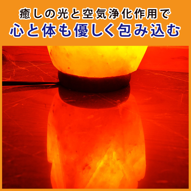 ヒマラヤ岩塩ランプ ソルトランプ New フラワー型 バラ型 インテリア