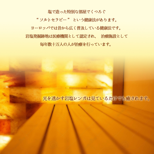 岩塩レンガ