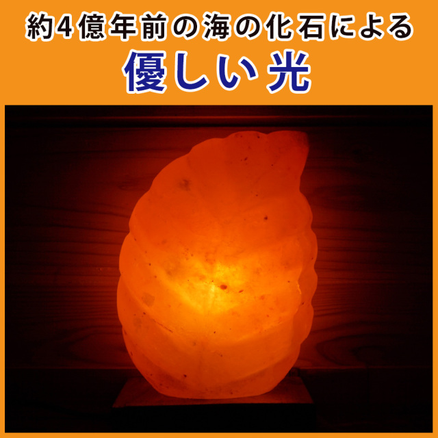 岩塩ランプ
