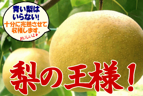 【梨の王様】幸水（こうすい） シャリシャリ感がたまらない！ ３キロ1箱（6～8個入り）