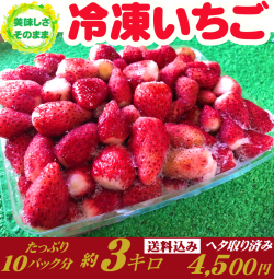 冷凍いちご