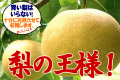 【梨の王様】幸水（こうすい） シャリシャリ感がたまらない！ ３キロ1箱（6～8個入り）