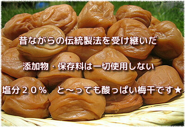 農家直送！紀州南高梅 樽 10kg かわあつ梅 無添加 和歌山 紀州 白梅 10kg 農家直送 紀州南高梅 樽 つぶれ梅 かわあつ梅 無添加