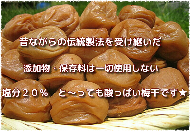 トップイメージ