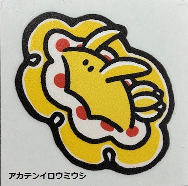 フィンステッカー