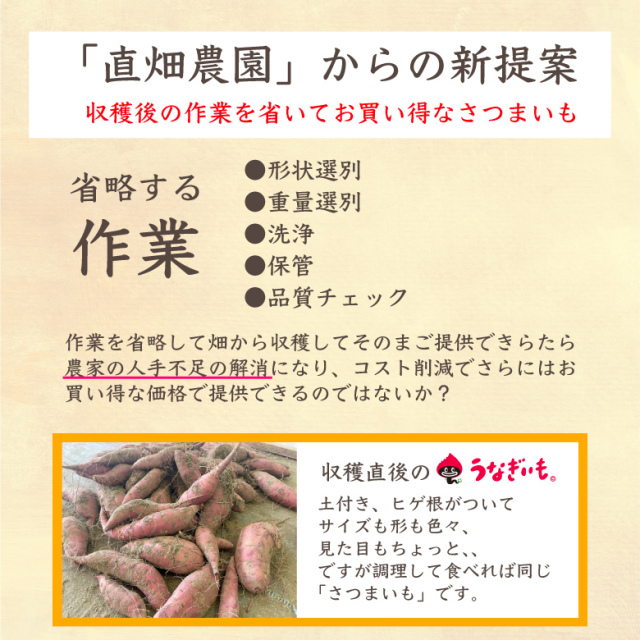 今期は終了＞【2025新物】うなぎいも5kg箱入 新提案！畑から直送で