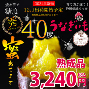熟成いも5kg