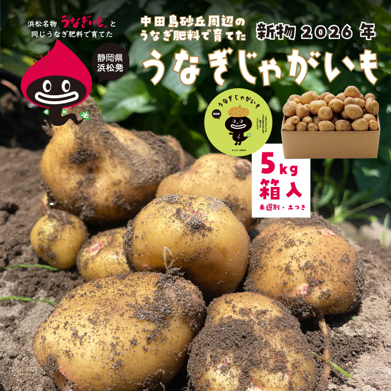 じゃがいも
