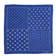 Silk Scarf
