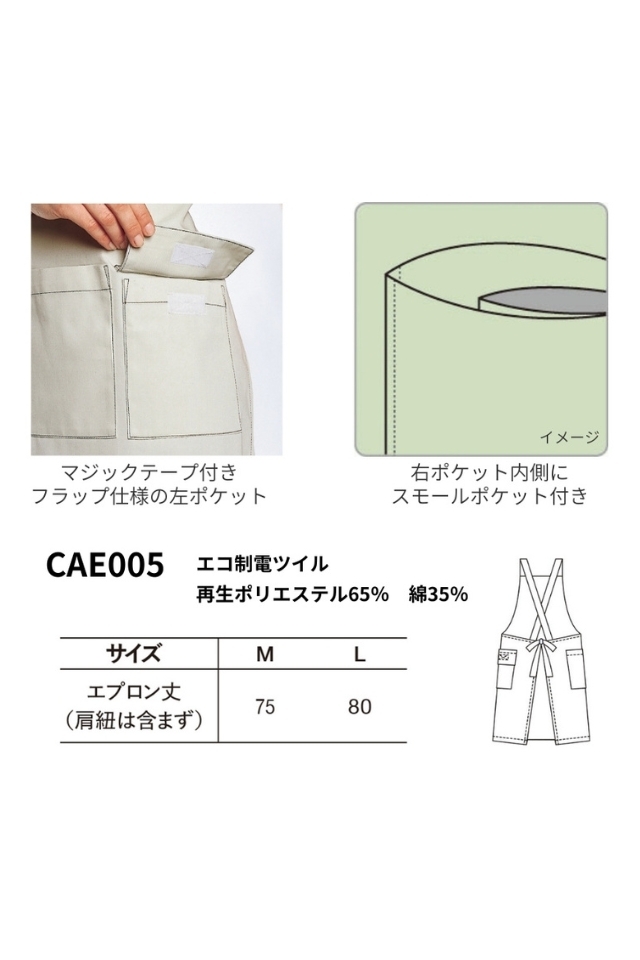 CAE005
