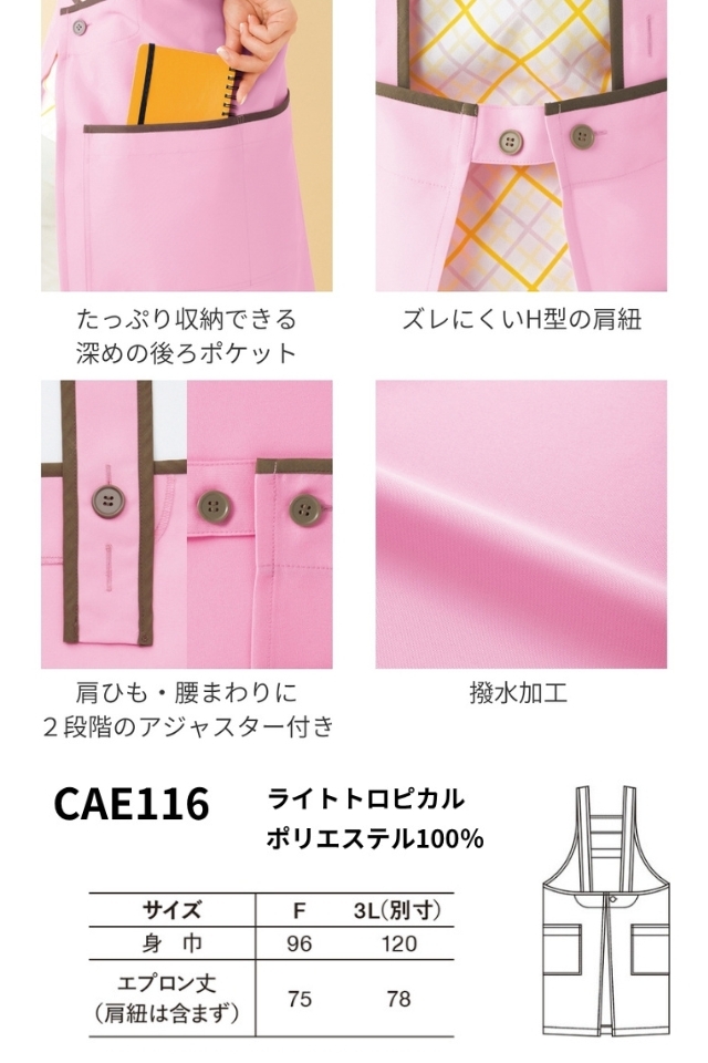 CAE116