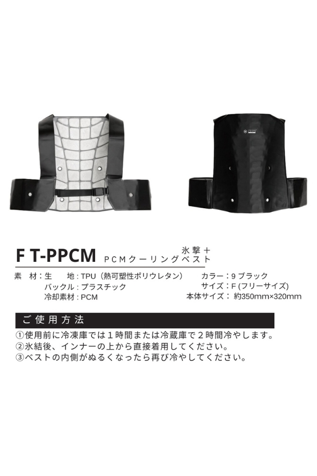 FT-PPCM