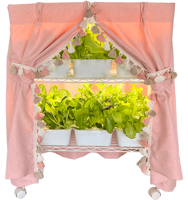 ユニコーンラボ（フェミニン）ベーシックモデル