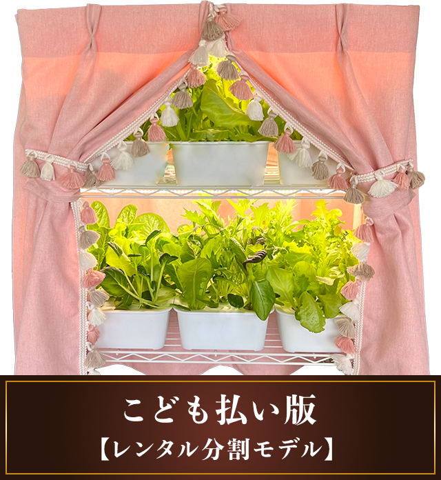 ユニコーンラボ（フェミニン） レンタル分割モデル