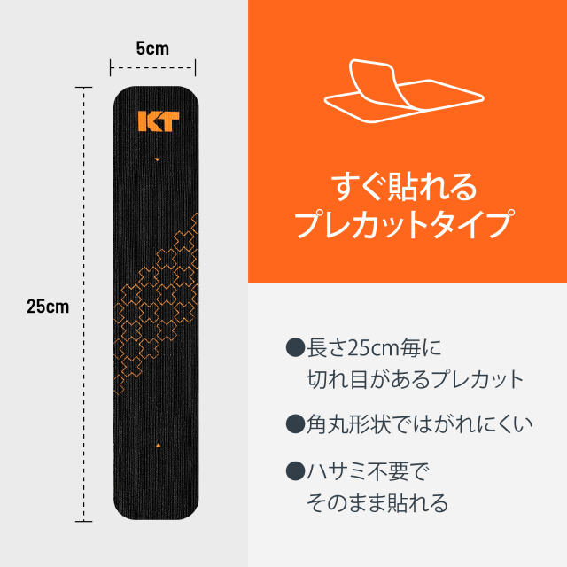 ktprex20_01.jpg