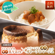 【送料無料】炙り雲丹×ガトーフロマージュセット（冷凍限定品・生うにと同梱不可）
