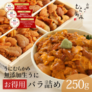【人気No.1】【日付指定不可】無添加生うにお得用バラ詰め250g