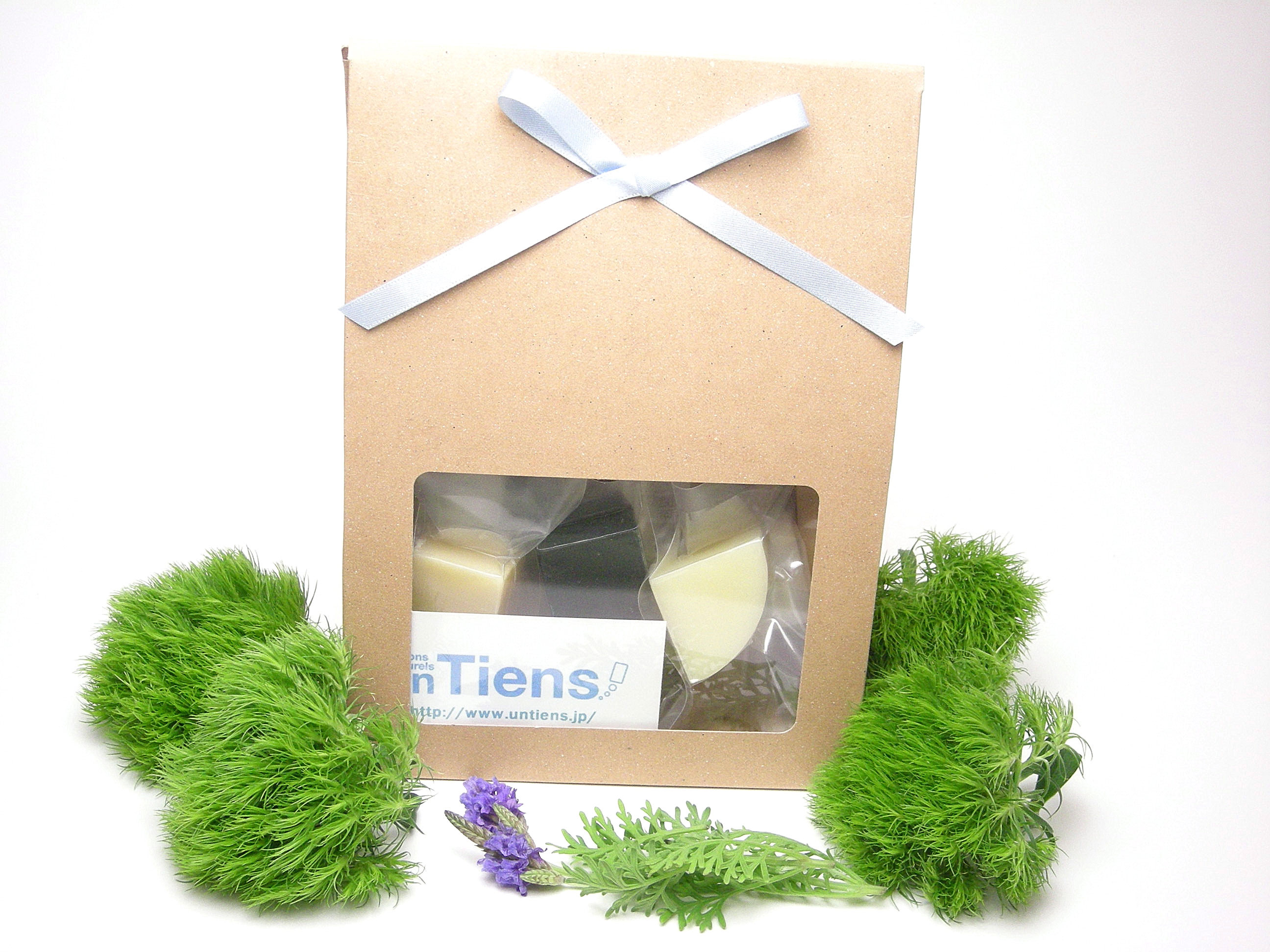 TIENSの化粧品 TIENS JAPAN 制作実績紹介