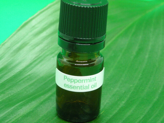 アンティアンで原料として使用している優れたお肌の保護、保湿力の