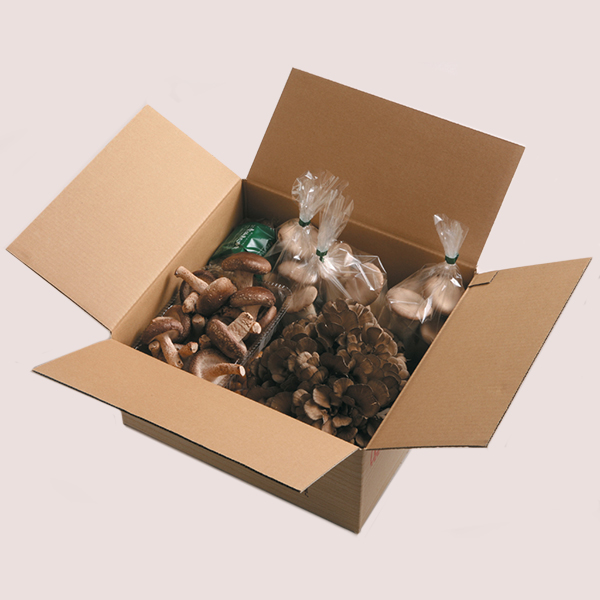 厳選朝採りきのこ（野岳）｜朝一番に収穫した新鮮きのこの産地