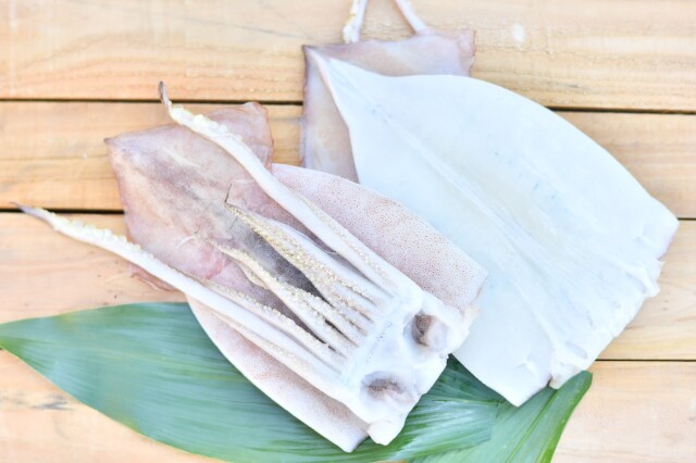 【万能・やわらか】地物いかの一夜干し　　／１枚の価格