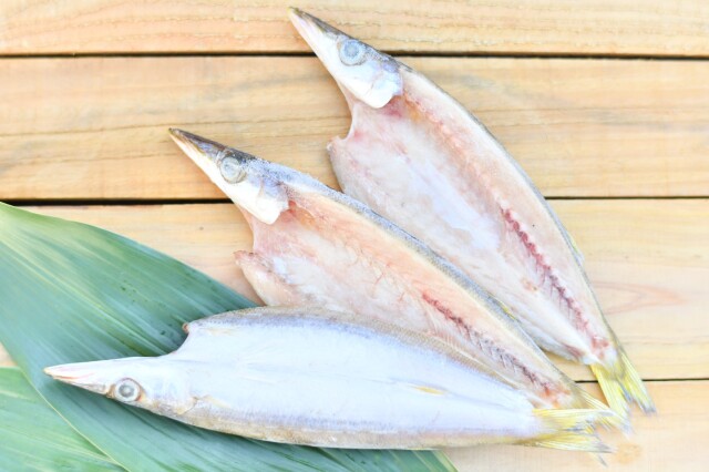 赤かますの開き　特大　／１枚の価格