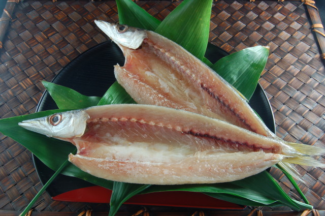 かますの開き 干物通販産直 真鶴ひもの専門店 魚伝