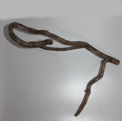 スティック・ウッド