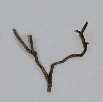 スティック・ウッド