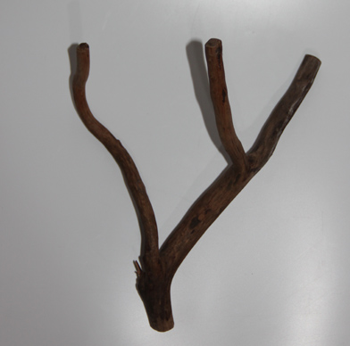 スティック・ウッド