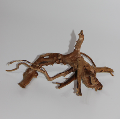 ブランチ・ウッド