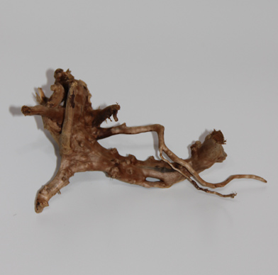 ブランチ・ウッド