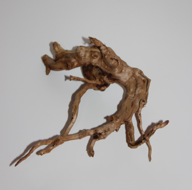 ブランチ・ウッド