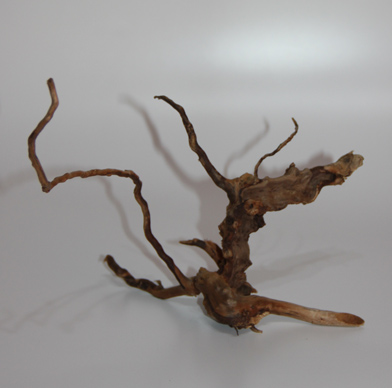 ブランチ・ウッド