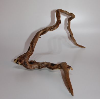 ブランチ・ウッド