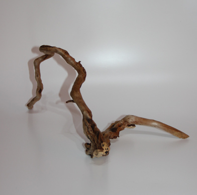 ブランチ・ウッド