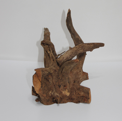 ホーン・ウッド・切株