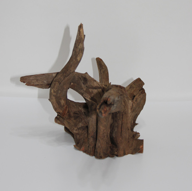 ホーン・ウッド・切株