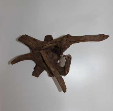 ホーン・ウッド・切株